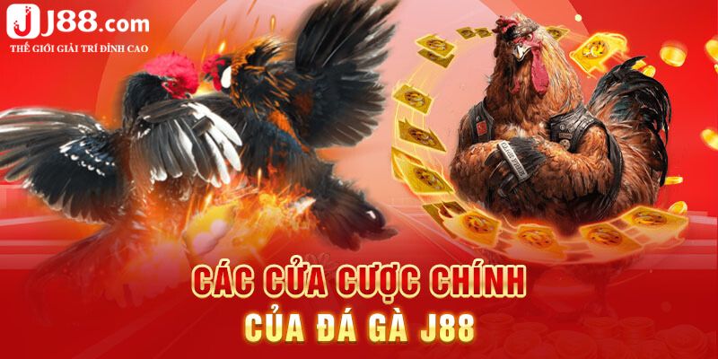 Các cửa cược hấp dẫn nhất sảnh đá gà