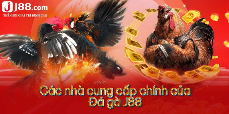 Các nhà cung cấp chính của đá gà J88