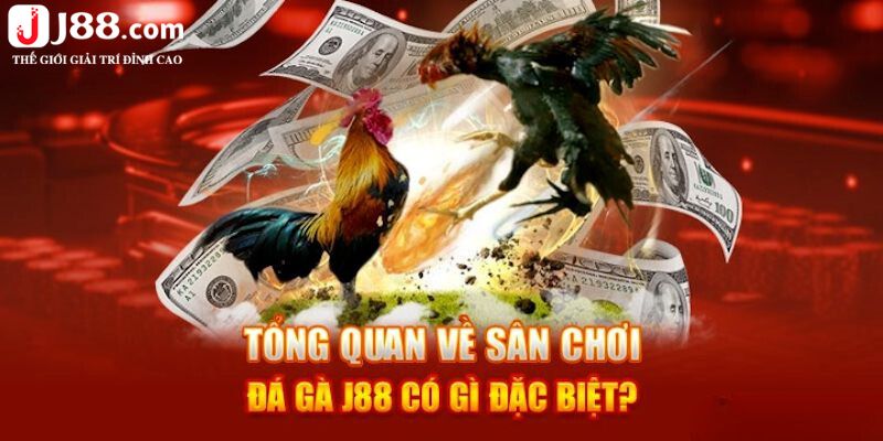 Điểm đặc biệt tại sân chơi đá gà J88