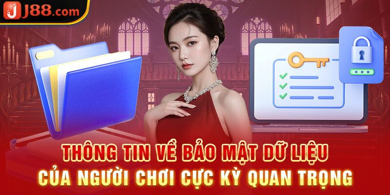 Quy trình thu thập thông tin tại trang web J88